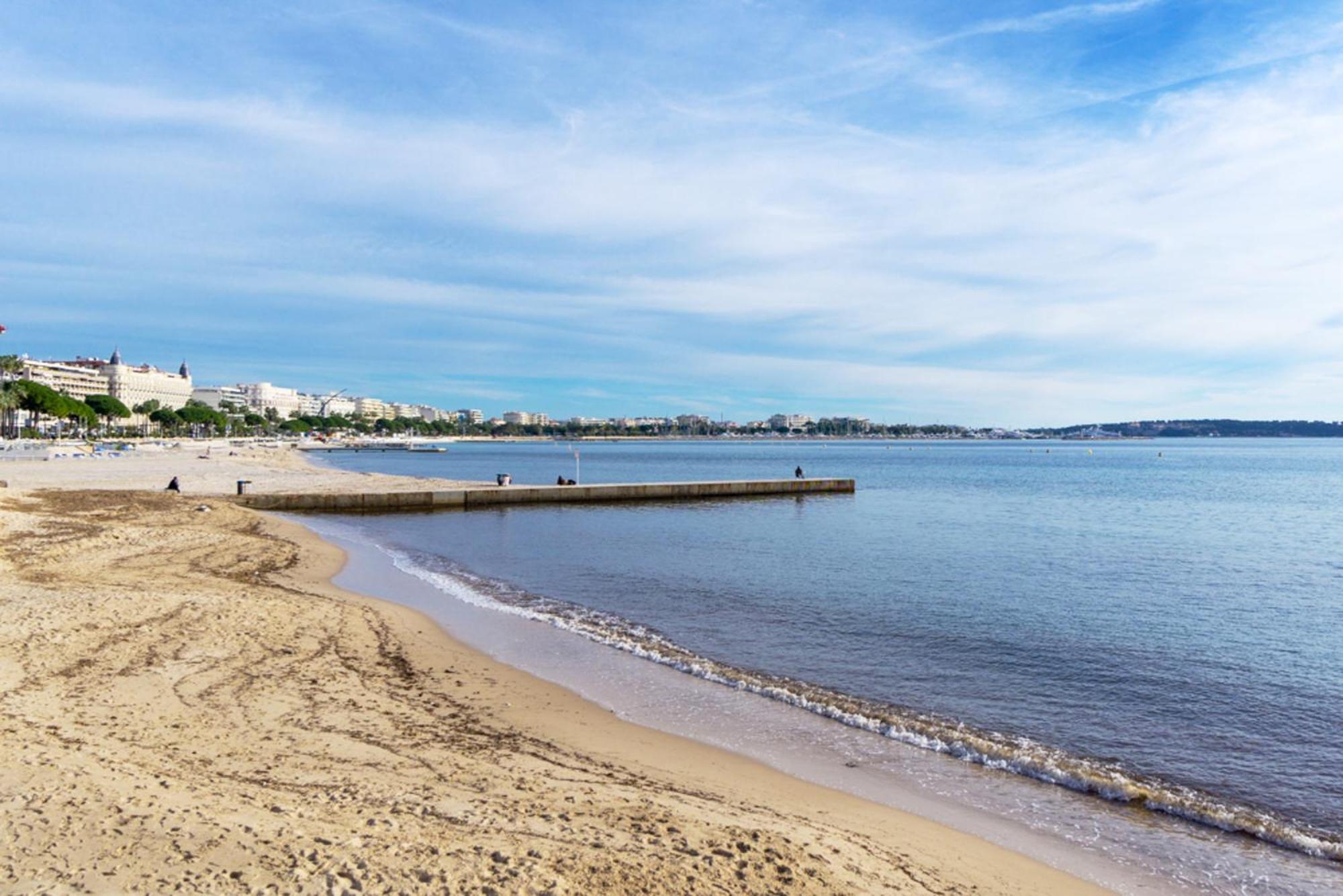 Appartement Stay-cannes- 1 Bedroom & Congress